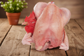 Poulet fermier sur table en bois avec pot de fleur